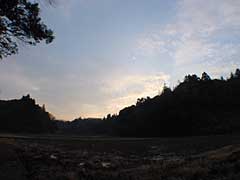 20050213.jpg