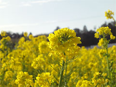 20100315-03.jpg