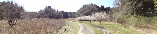 20100314-04.jpg
