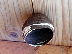 20100604-02.jpg