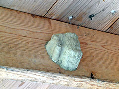 20100604-04.jpg