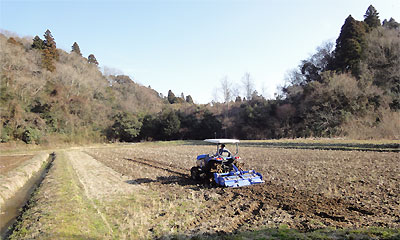 20100225-01.jpg