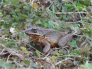 20100225-02.jpg