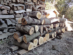 20100207-01.jpg