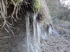 20100207-03.jpg