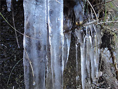 20100207-02.jpg