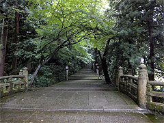 20100705-02.jpg