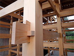 20100707-07.jpg