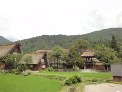 20100707-09.jpg