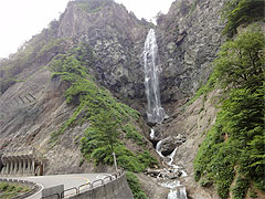 20100707-13.jpg