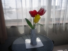 IMGP1367.JPG