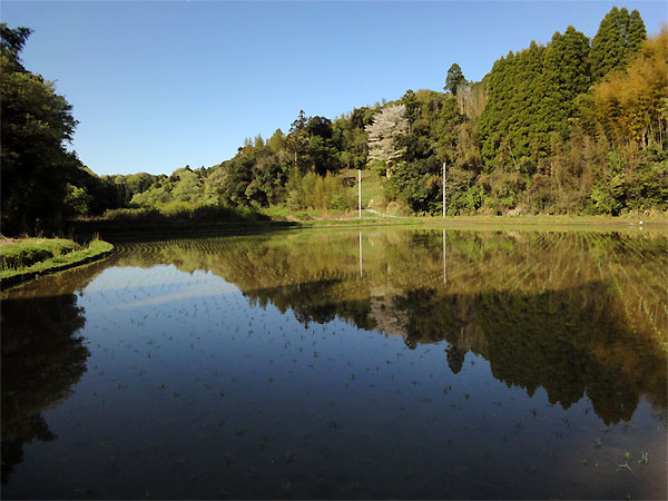 20110424-01.jpg