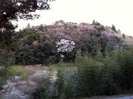 20110412-01.jpg