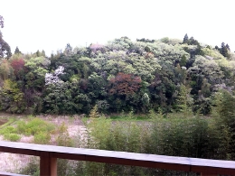 20110421-01.jpg
