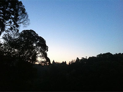 20110428-01.jpg