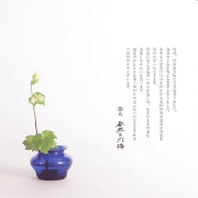 20110507-01.jpg