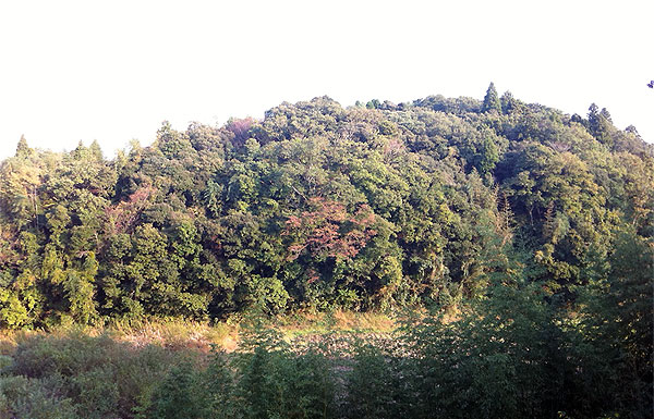 20111113-01.jpg